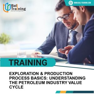 TRAINING EXPLORATION & PRODUCTION PROCESS BASICS: UNDERSTANDING THE PETROLEUM INDUSTRY VALUE CYCLE