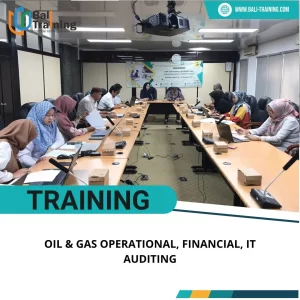 TRAINING OIL & GAS OPERATIONAL, FINANCIAL, IT AUDITING