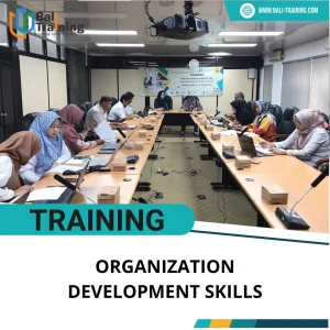 TRAINING ORGANIZATION DEVELOPMENT SKILLS