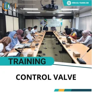 TRAINING CONTROL VALVE