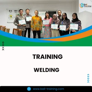 Training welding inspector