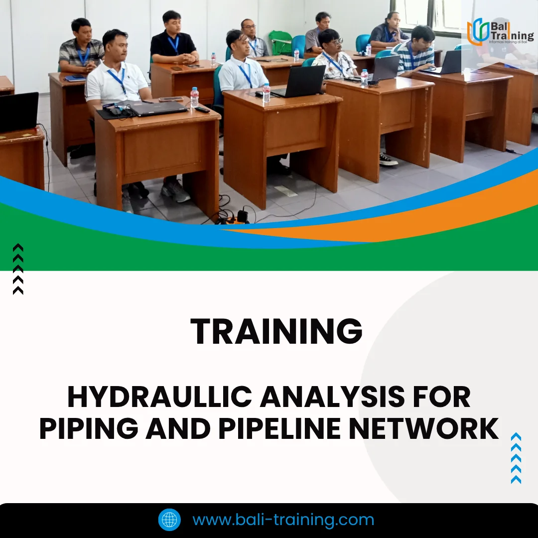 Training hydraullic analysis for piping